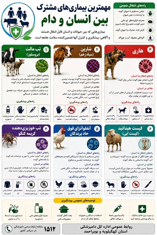 بیماری مشترک 